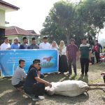 Universitas Islam Negeri Syekh Ali Hasan Ahmad Addary Padangsidimpuan Laksanakan Penyembelihan Hewan Kurban Kejar Berkah Bulan Zulhijjah 1445 H.